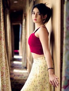 escort service in Faridabad